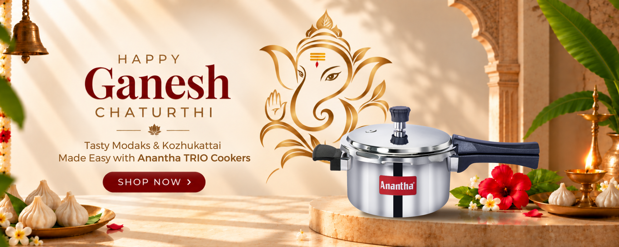 Anantha Electric Cooker